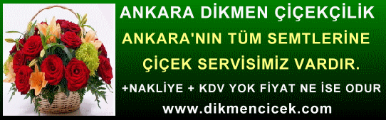 Dikmen ankara dikmen �i�ek�ilik �i�ek sat���