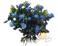 �ve�ler Dikmen anneler g�n� �i�ek yolla  11 adet mavi g�l �zel tanzim