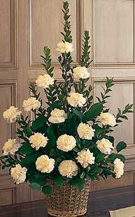 Dikmen �lkad�m �i�ek g�nderme sitemiz g�venlidir  Beyaz karanfillerden sepet