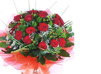 Dikmen Harbiye ankara �nternetten �i�ek sipari�i  10 adet kirmizi g�l buket tanzim