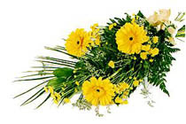sari gerbera ve sari �i�ek  Dikmen Keklikp�nar� �i�ek sipari�i vermek 
