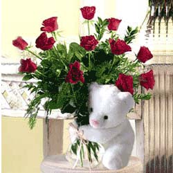 9 adet kirmizi g�l   �ve�ler Dikmen anneler g�n� �i�ek yolla 