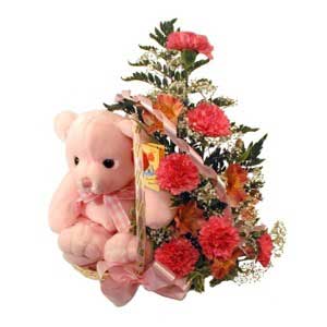 sepette karanfiller ve ayicik  �ve�ler Dikmen anneler g�n� �i�ek yolla 