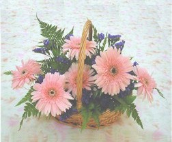 gerbera �i�eklerinde sepet  Dikmen cicek , cicekci 