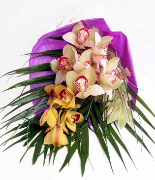Dikmen �lkad�m �i�ek g�nderme sitemiz g�venlidir  1 adet dal orkide buket halinde sunulmakta
