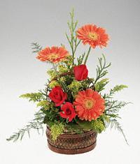 Dikmen �lkad�m �i�ek g�nderme sitemiz g�venlidir  sepet i�erisinde 3 g�l ve 3 gerbera tanzimi