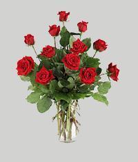 Dikmen �lkad�m �i�ek g�nderme sitemiz g�venlidir  11 adet kirmizi g�l vazo halinde