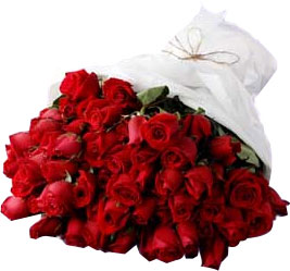 41 adet en sade g�l buketi  Dikmen �lkad�m �i�ek g�nderme sitemiz g�venlidir 