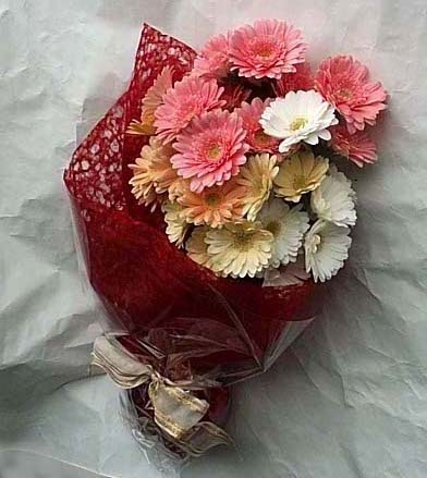 19 adet karisik gerbera buketi Dikmen Harbiye ankara �nternetten �i�ek sipari�i 