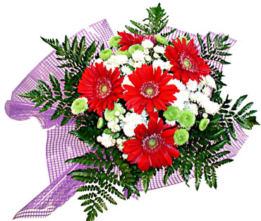 gerbera ve krizantem demeti �i�ek�i Dikmen �i�ek servisi , �i�ek�i adresleri 