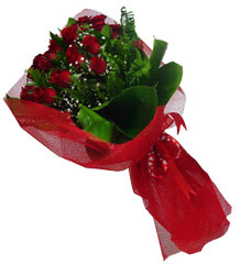Ankara Dikmen Osmantemiz online �i�ek g�nderme sipari�  10 adet kirmizi g�l demeti