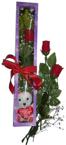 A�a�� Dikmen ankara �i�ek�i telefonlar� yurti�i ve yurtd��� �i�ek sipari�i  3 adet canli g�l ve oyuncak ayicik