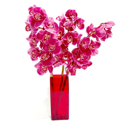 Dikmen Akpnar Ankara  hediye sevgilime hediye iek  Cam yada mika vazo ierisinde 3 adet dal orkide