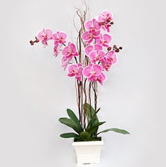 Dikmen lkadm iek gnderme sitemiz gvenlidir  2 adet orkide - 2 dal orkide
