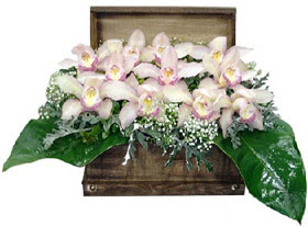 Dikmen Akpnar Ankara  hediye sevgilime hediye iek  sandik ierisinde 1 dal orkide