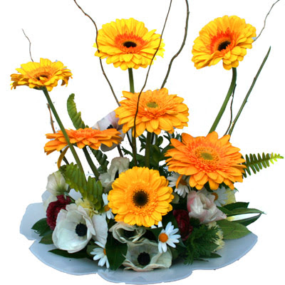 camda gerbera ve mis kokulu kir �i�ekleri Dikmen Ankara �i�ek g�nder uluslararas� �i�ek g�nderme 