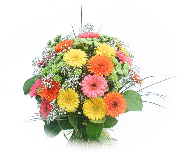 13 adet gerbera �i�egi buketi Ankara Dikmen �lker �i�ek yolla , �i�ek g�nder , �i�ek�i  
