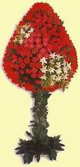 Ankara Dikmen cicekciler , cicek siparisi  d�g�n a�ilis �i�ekleri Dikmen Metin Akku� �i�ek sat��� , �i�ek�i , �i�ek�ilik 