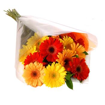 Karisik renklerde gerbera buketi Dikmen �lkad�m �i�ek g�nderme sitemiz g�venlidir 