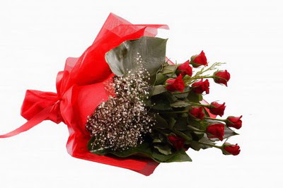 Dikmen ankara �i�ek ma�azas� , �i�ek�i adresleri  11 adet kirmizi g�l buketi �i�ek�i