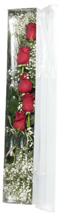 Dikmen ankara �i�ek ma�azas� , �i�ek�i adresleri   5 adet g�lden kutu g�ller