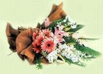 Dikmen �lkad�m �i�ek g�nderme sitemiz g�venlidir  Karisik g�zel mevsim �i�ekleri