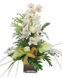 Ankara Dikmen Mrselulu hediye iek yolla  cam vazo ierisinde 1 dal orkide iegi