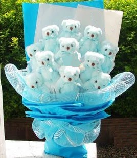 13 adet pelus ayiciktan g�rsel hediye buketi Ankara Dikmen kaliteli taze ve ucuz �i�ekler 