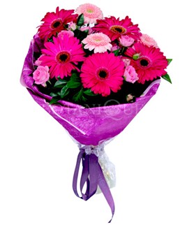 Dikmen ankara �i�ek ma�azas� , �i�ek�i adresleri  kar���k gerbera �i�e�i buketi
