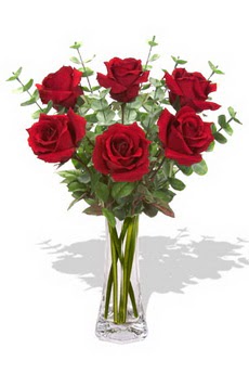 �i�ek�i Dikmen �i�ek servisi , �i�ek�i adresleri  6 k�rm�z� g�l vazosu