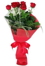 �i�ek yolla sitesinden 7 adet k�rm�z� g�l Ankara Dikmen kaliteli taze ve ucuz �i�ekler 