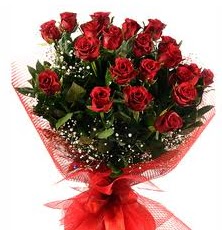 �lgin� Hediye 21 Adet k�rm�z� g�l A�a�� Dikmen ankara �i�ek�i telefonlar� yurti�i ve yurtd��� �i�ek sipari�i 