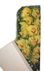 Ankara Dikmen cicekciler , cicek siparisi  Kutu i�erisine dal cymbidium orkide