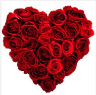 Ankara Dikmen �i�ek yolla  19 adet k�rm�z� g�lden kalp tanzimi