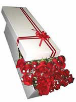 Dikmen Ankara �i�ek g�nder uluslararas� �i�ek g�nderme  11 adet 1.kalite magnum g�ller