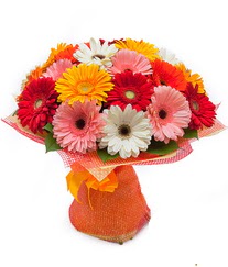 Renkli gerbera buketi ankara �i�ek yolla Dikmen malazgirt �i�ek�i telefonlar� 
