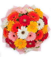 15 adet renkli gerbera buketi Dikmen sokullu ankara internetten �i�ek sat��� 