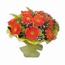 Dikmen cicek , cicekci  11 adet se�me gerbera �i�egi
