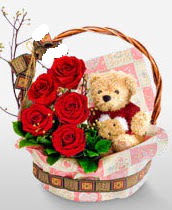 sepet i�erisinde 5 adet g�l ve 15 cm ay�c�k A�a�� Dikmen ankara �i�ek�i telefonlar� yurti�i ve yurtd��� �i�ek sipari�i 