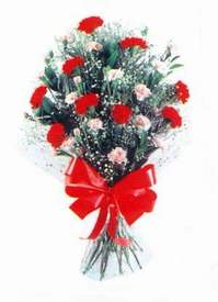 Dikmen Ankara �i�ek g�nder uluslararas� �i�ek g�nderme  Karanfillerden g�zel bir demet