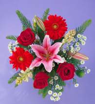 Dikmen Akp�nar Ankara  hediye sevgilime hediye �i�ek  Gerbera g�l ve lilyum buketi