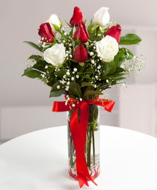 5 k�rm�z� 4 beyaz g�l vazoda Dikmen �lkad�m �i�ek g�nderme sitemiz g�venlidir 