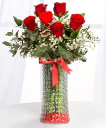 Cam vazoda 5 adet k�rm�z� g�l kalp �ubuk Dikmen Akp�nar Ankara  hediye sevgilime hediye �i�ek 