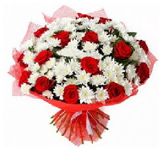 11 adet k�rm�z� g�l ve 1 demet krizantem Ankara Dikmen M�rselulu� hediye �i�ek yolla 