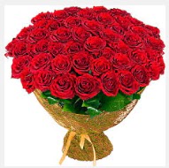 51 adet g�l 1 g�nl���ne indirimde Dikmen Ankara �i�ek g�nder uluslararas� �i�ek g�nderme  