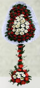 Ankara Dikmen kaliteli taze ve ucuz �i�ekler  �ift katl� d���n a��l�� �i�e�i
