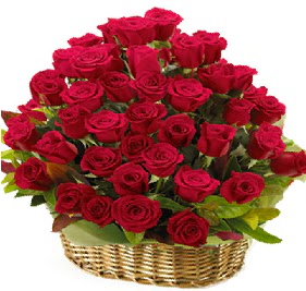 41 adet k�rm�z� g�l sepet i�erisinde Dikmen Metin Akku� �i�ek sat��� , �i�ek�i , �i�ek�ilik 