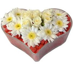 Kalp i�erisinde 7 beyaz g�l ve papatyalar Ankara Dikmen kaliteli taze ve ucuz �i�ekler 