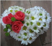 3 adet k�rm�z� g�l mika kalptte papatyalar Ankara Dikmen kaliteli taze ve ucuz �i�ekler 