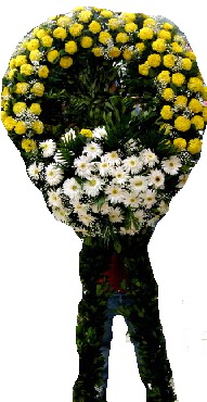 cenaze �elenk �i�e�i A�a�� Dikmen ankara �i�ek�i telefonlar� yurti�i ve yurtd��� �i�ek sipari�i 
